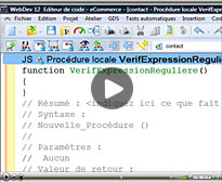 Ouverture de WEBDEV&nbsp;: int&eacute;gration de code Javascript