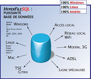HyperFileSQL : Puissante Base de Données